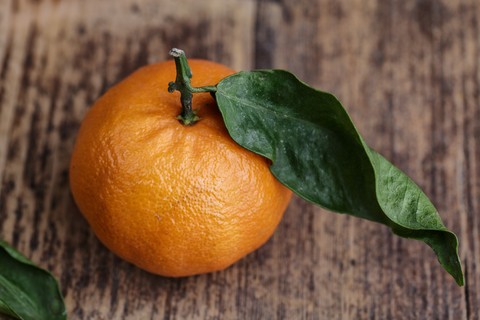 Mandarina